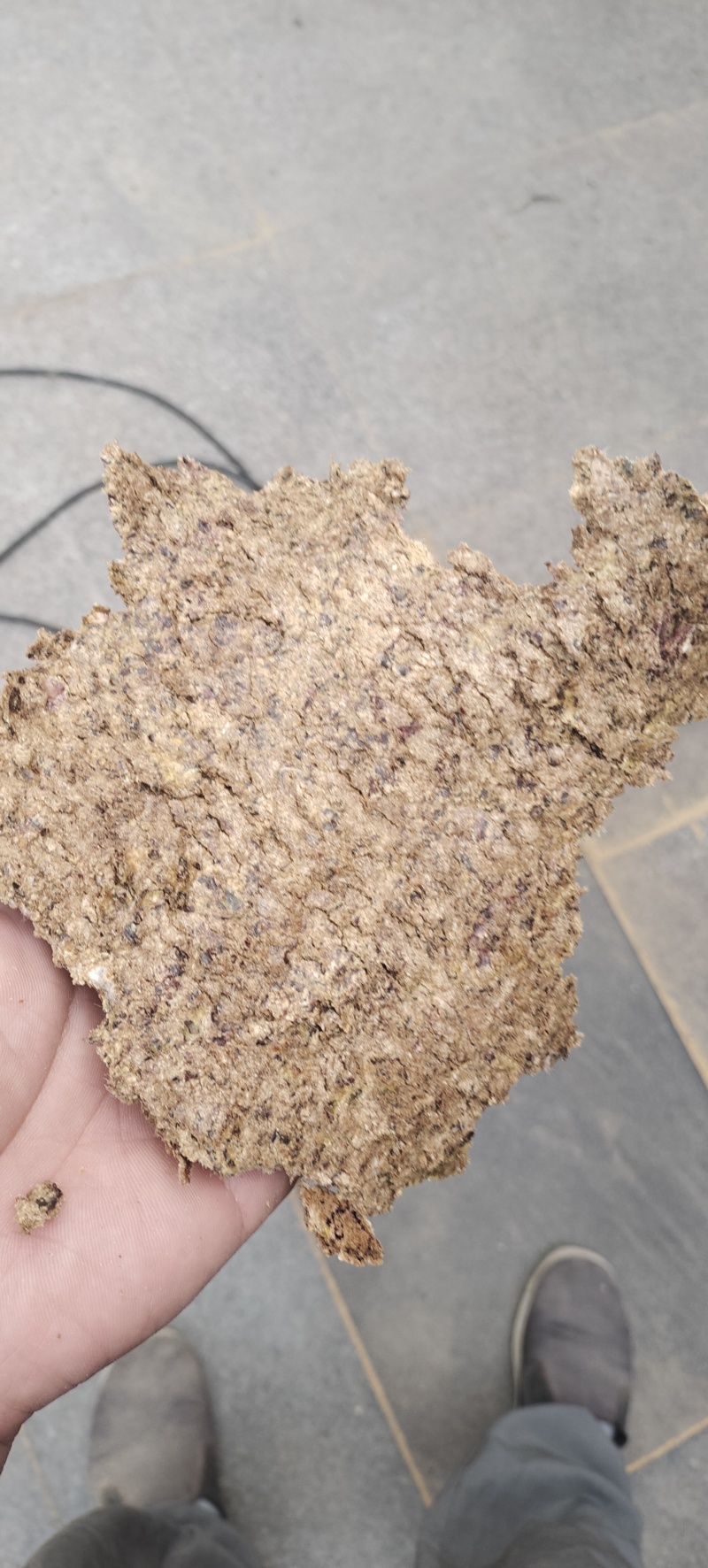 保纯新疆棉籽饼！喂牛羊育肥必备！批发