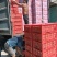 精品爱媛28号橙子产地直发一手货源全国发货