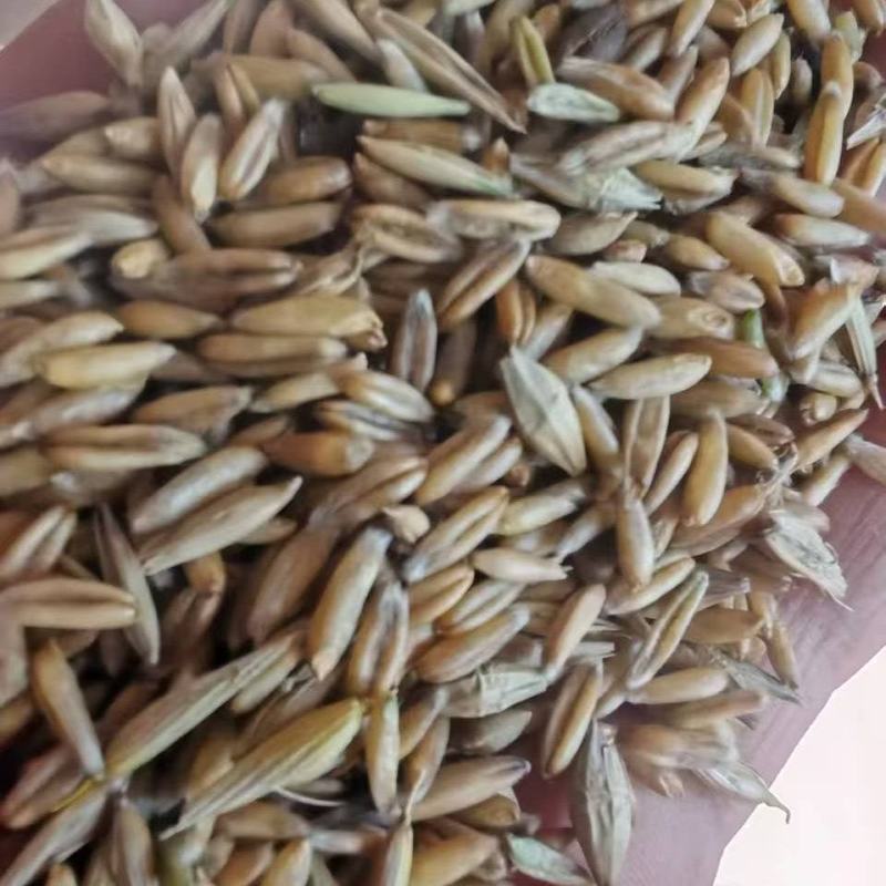 油麦下角料