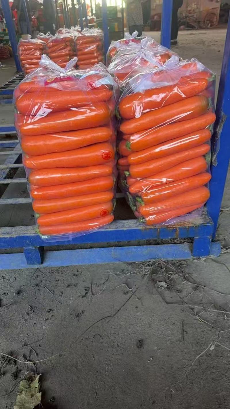 开封三红胡萝卜【胡萝卜】精品，水洗，土货诚信经营