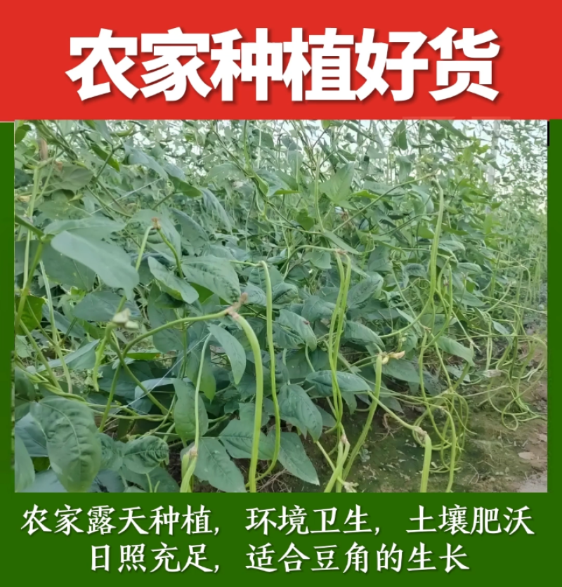 新货干豆角农家日晒豇豆干无老条陕南特产