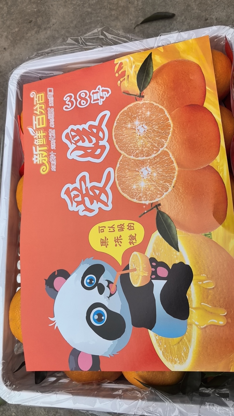 爱媛果冻橙