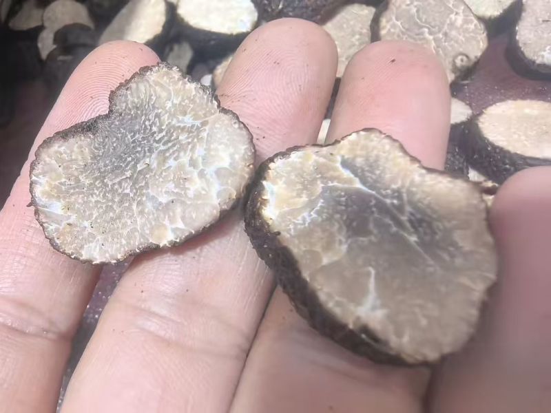 云南黑松露，又称云南黑松露菌，是云南省特有的珍贵食用菌种
