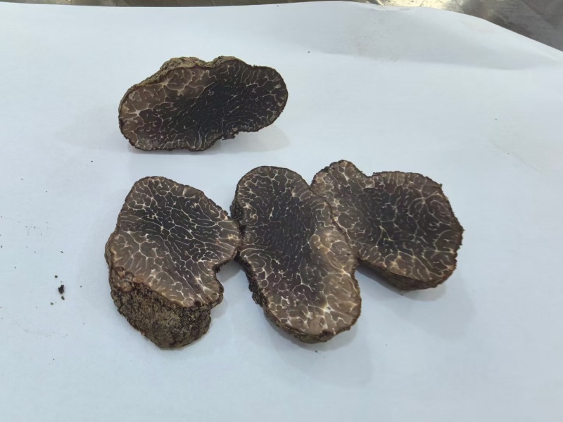 云南黑松露，又称云南黑松露菌，是云南省特有的珍贵食用菌种