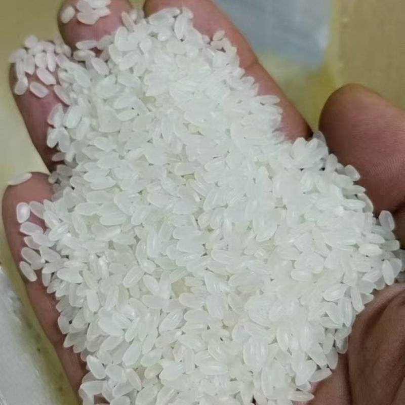新米预订，源头厂家，保质保量全年供应