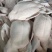 白条鸭