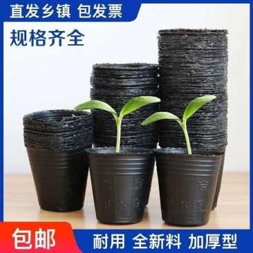 营养钵育苗袋育苗杯育苗盆营养袋