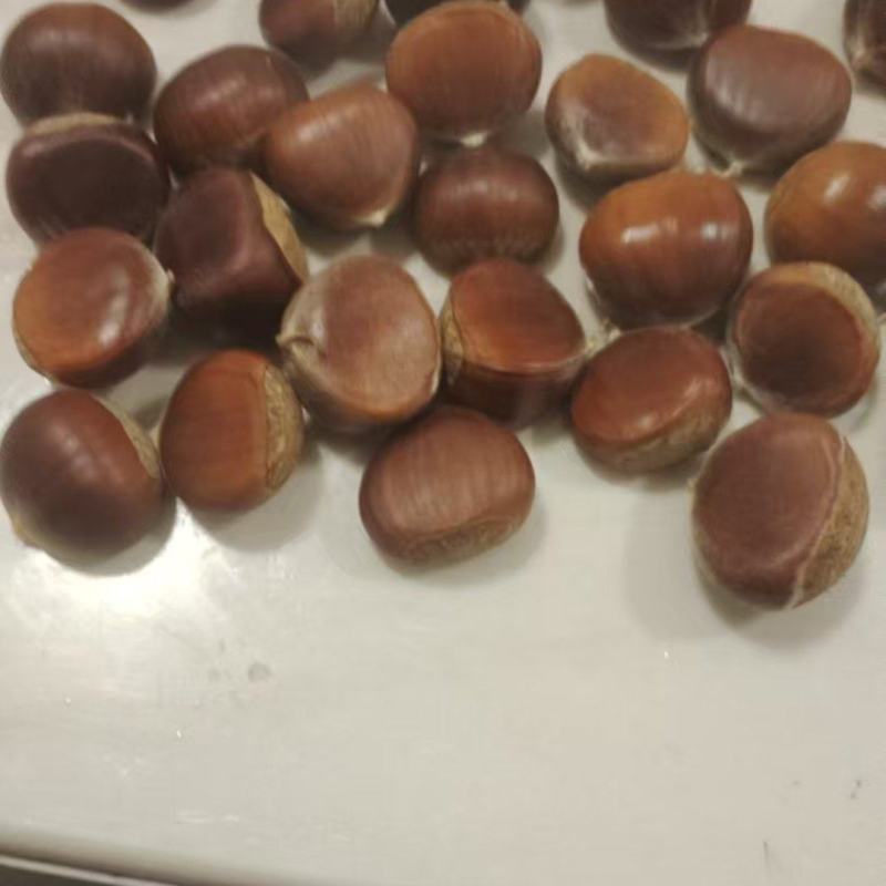 新鲜板栗
