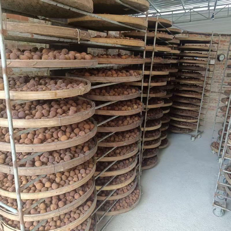 广西鸡嘴荔枝干工厂直销可批发零售电商商超社区团购全国发货
