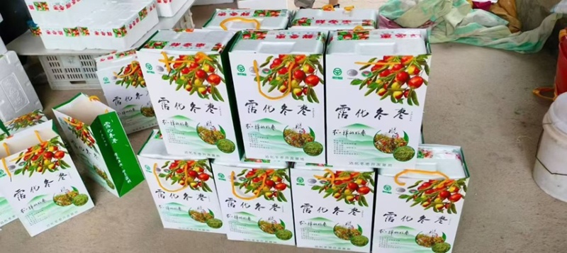一件代发沾化冬枣鲜枣对接各大电商平台抖音快手等日发2万单