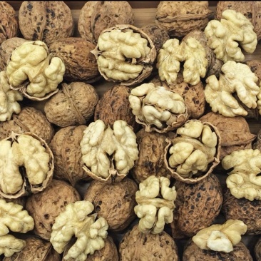云南纸皮核桃