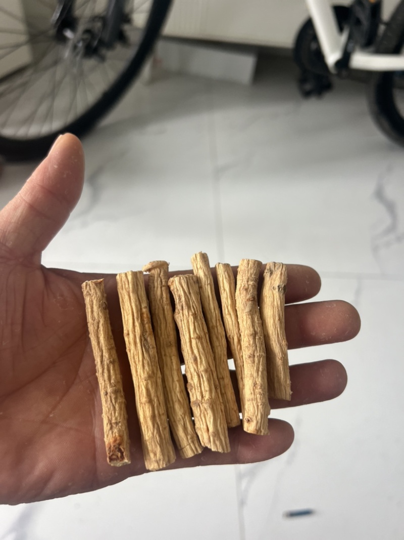 安徽优良防风种植基地直发药厂专供欢迎选购
