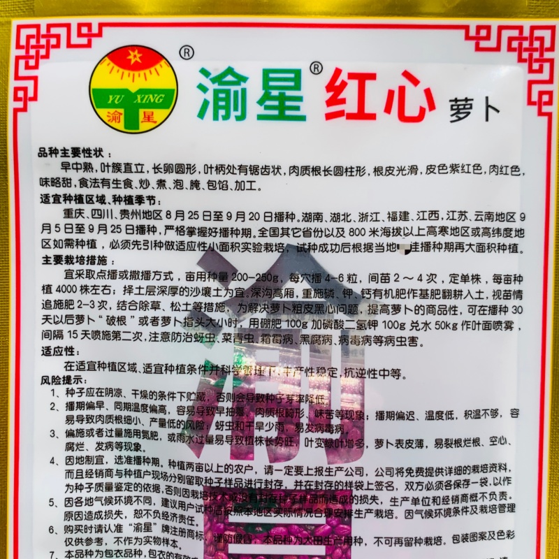 渝星红心萝卜种籽紫红皮红肉萝卜种子味略甜秋季腌制萝卜大田