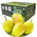 正宗新疆库尔勒香梨10斤精品装，一件代发，全国包邮