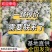 松花菜&白面青梗/产地大量现货供应中/全国发货/欢迎来电