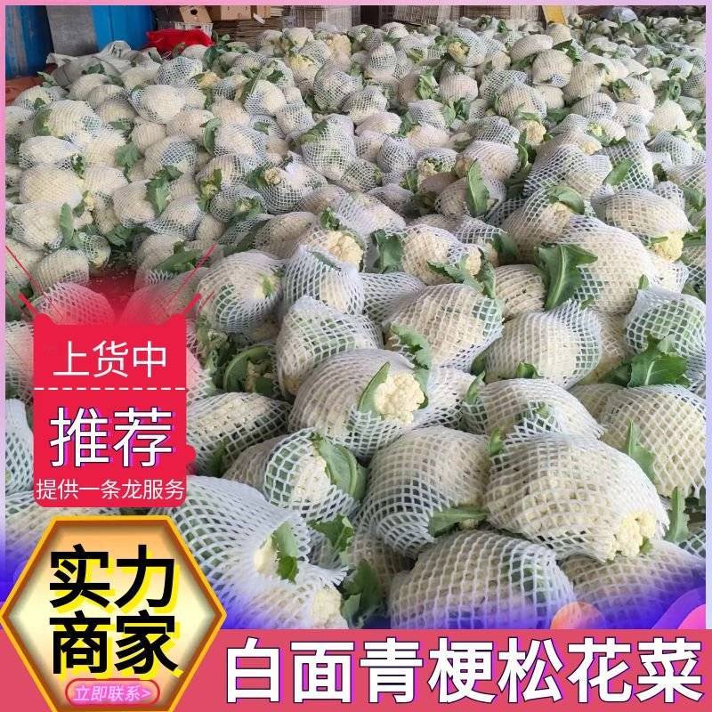 《松花菜》山东菜花/聊城基地直供/现货供应/可全国代发