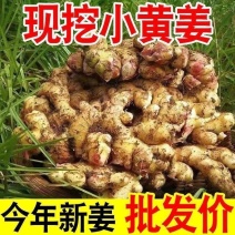 小黄姜云南产地直供一件代发批发社区团购供货