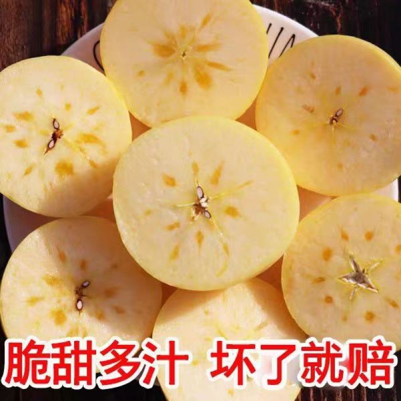 奶油富士