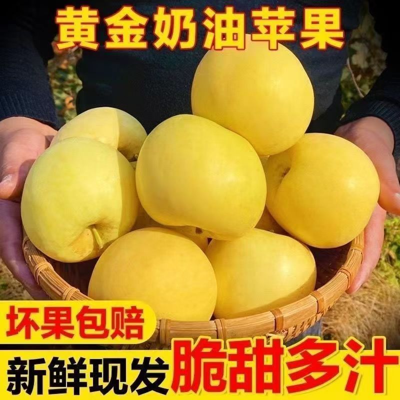 奶油富士