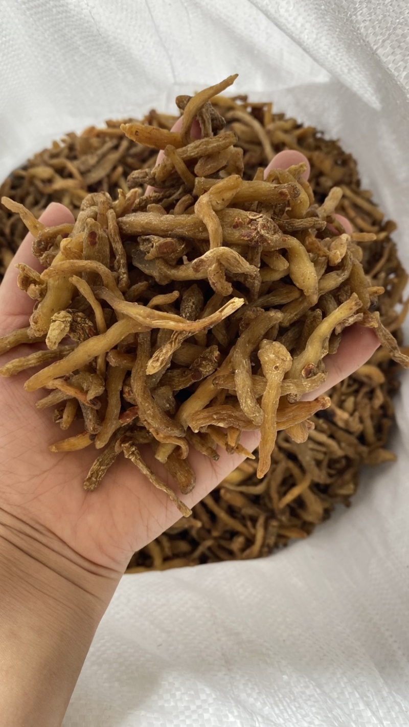 熟晒小统货，过风机干净