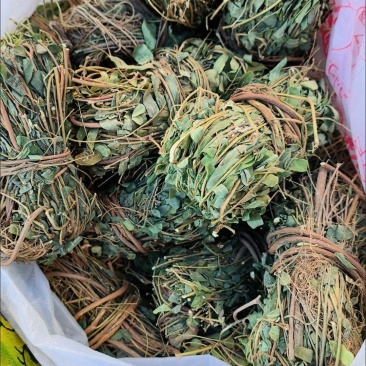 广西农家自晒鸡骨草晒干批发新鲜广西叶子干货带叶子鸡骨草