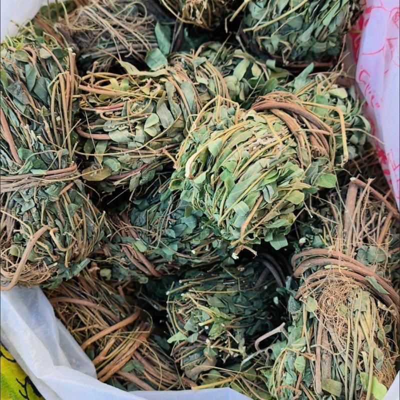广西农家自晒鸡骨草晒干批发新鲜广西叶子干货带叶子鸡骨草