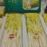 桂河芹菜苗黄金芹菜苗黄心芹菜苗