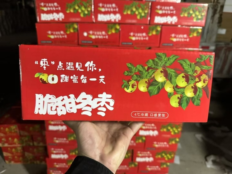 一件代发沾化冬枣鲜枣对接各大电商平台抖音日发3万单