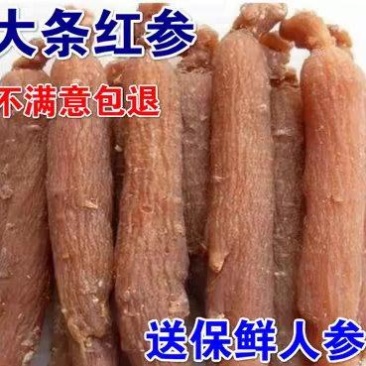 红参个大个无须红参棒正品无硫整支500g装特价包邮