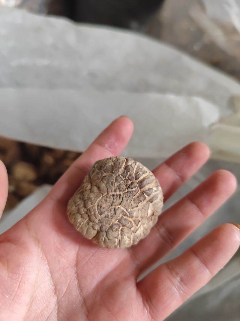 干货批发，欢迎选购
