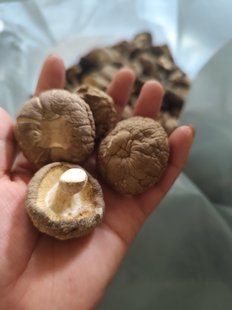 干货批发，欢迎选购