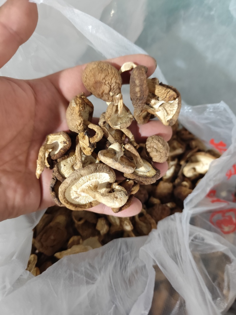 干货批发，欢迎选购