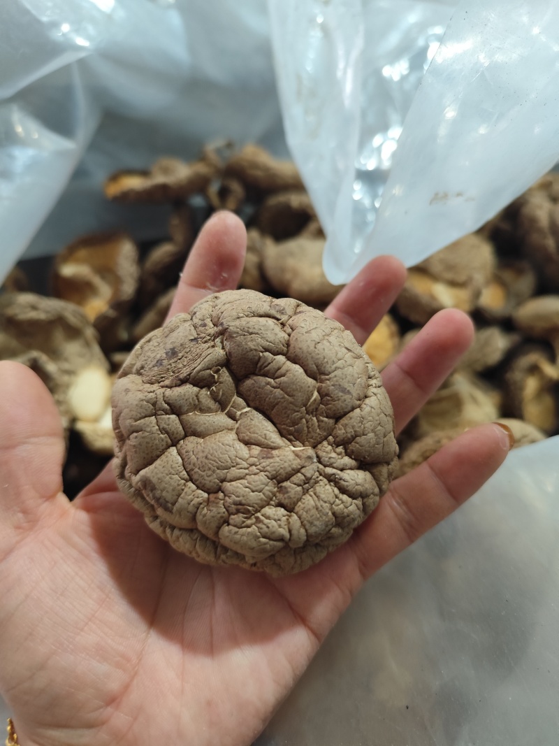 干货批发，欢迎选购