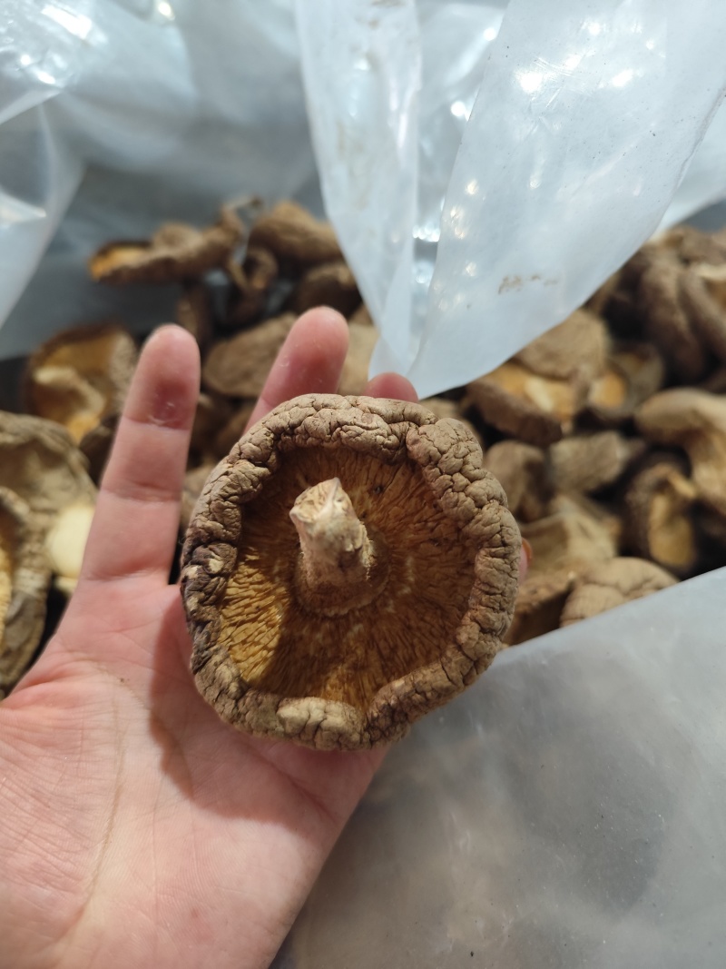 干货批发，欢迎选购