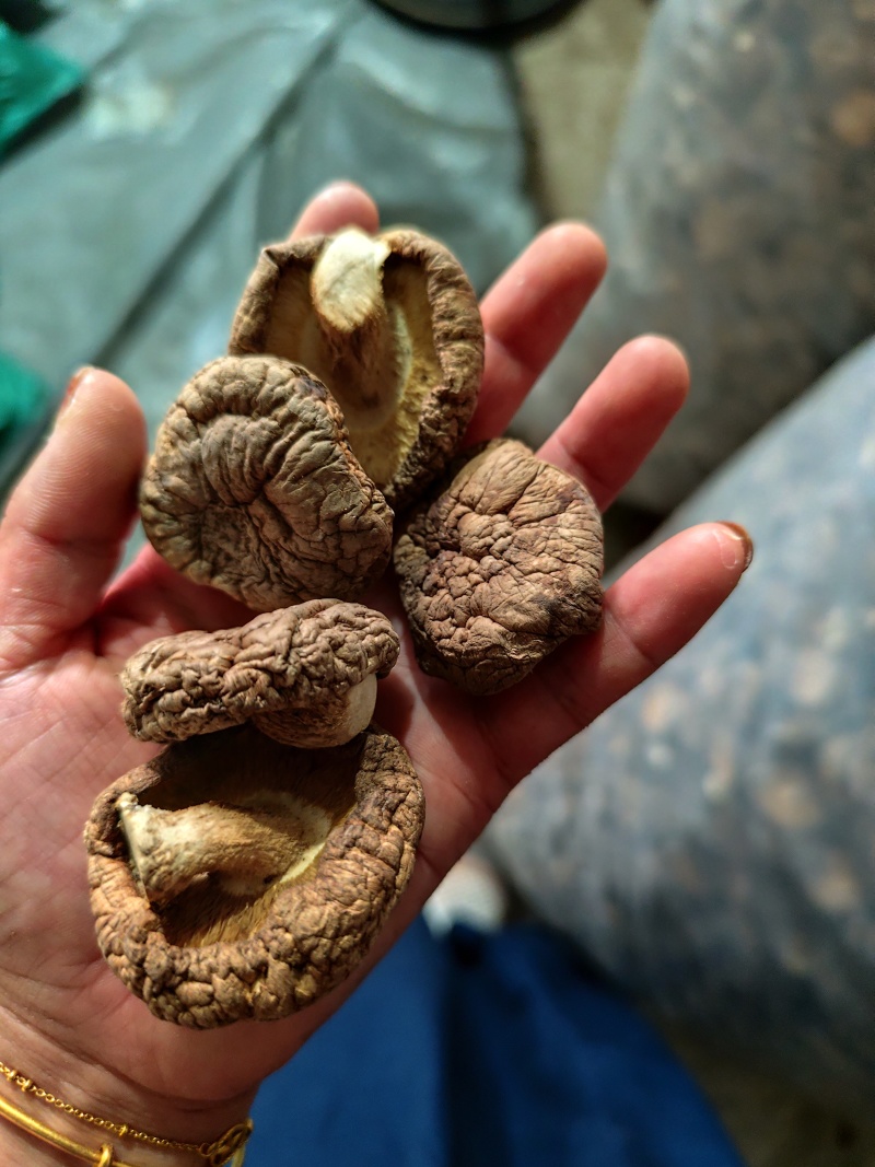 干货批发，欢迎选购