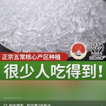 东北长粒香大米颗颗饱满粒粒香醇农户种植自产自销