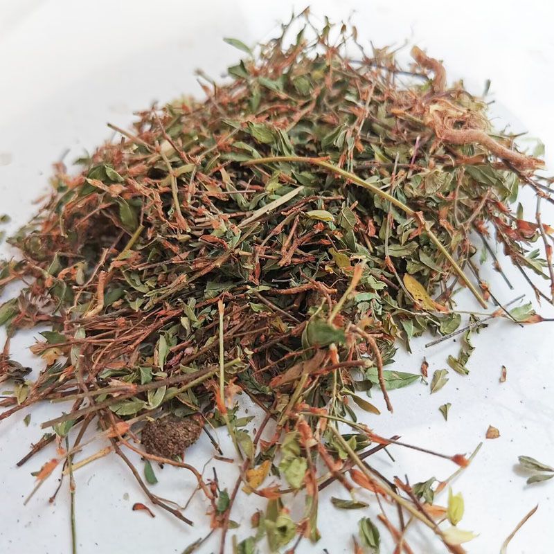 人字草中药材250克新货正品新鲜干货丁葵草乌龙草丁贵草乌