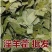 淫羊藿中药材天然无硫中药材合作共赢诚信经营