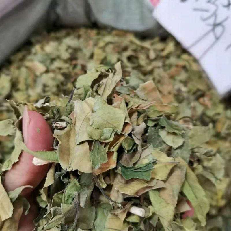小驳骨中药材小接骨驳骨草正品新货中药材合作共赢