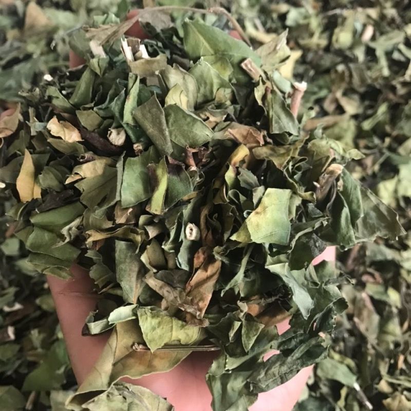 小驳骨中药材小接骨驳骨草正品新货中药材合作共赢