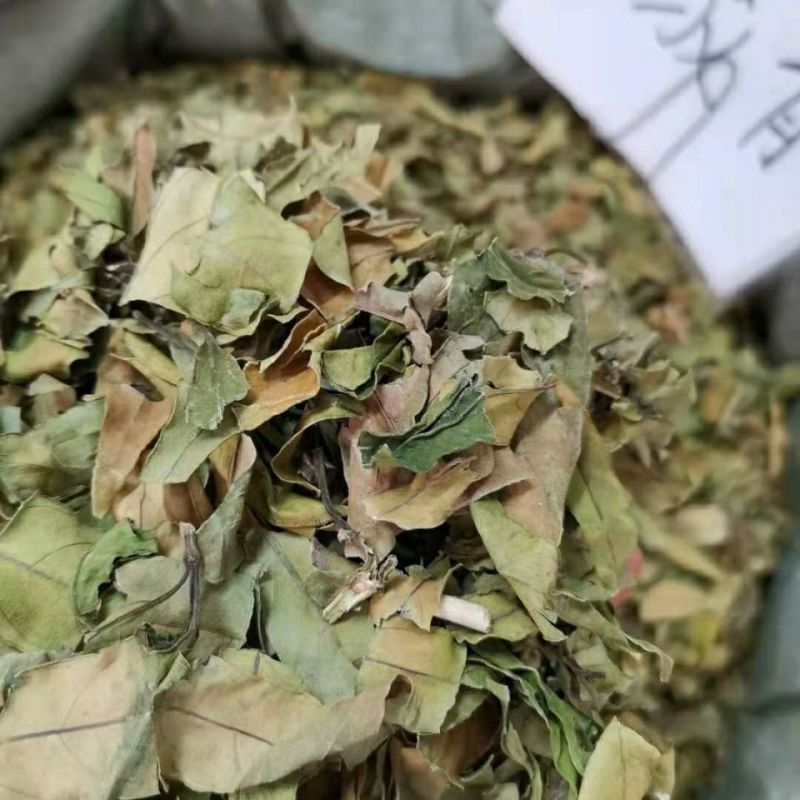 小驳骨中药材小接骨驳骨草正品新货中药材合作共赢