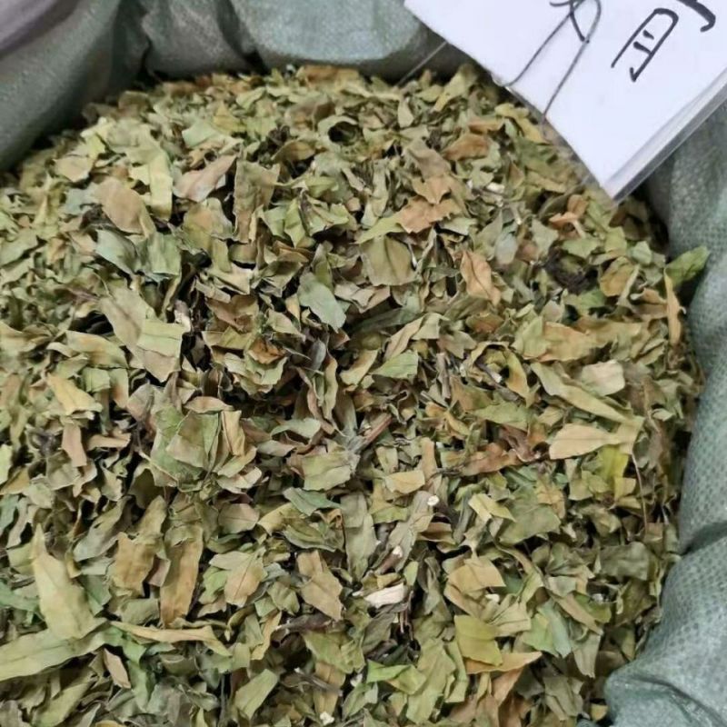 小驳骨中药材小接骨驳骨草正品新货中药材合作共赢
