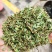 鸡骨草正宗无硫晒干中药材合作共赢诚信经营中药材