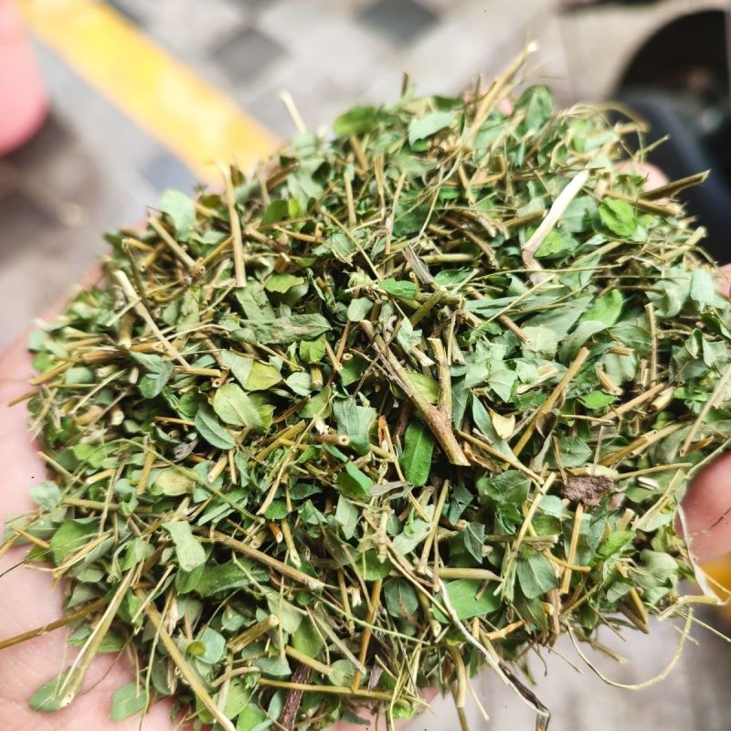 鸡骨草正宗无硫晒干中药材合作共赢诚信经营中药材