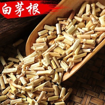 白茅根新鲜晒干中药材合作共赢诚信经营中药材