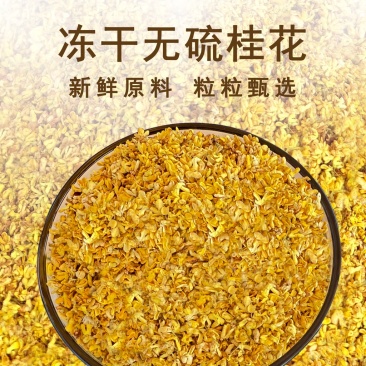 5A冻干桂花，桂林产地直发，量大从优