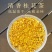 5A冻干桂花，桂林产地直发，量大从优