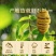 夏天必备滋补养生正宗原产浙江铁皮石斛枫斗颗粒清热胶质铁皮