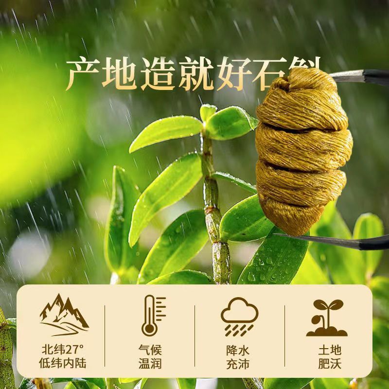 夏天必备滋补养生正宗原产浙江铁皮石斛枫斗颗粒清热胶质铁皮