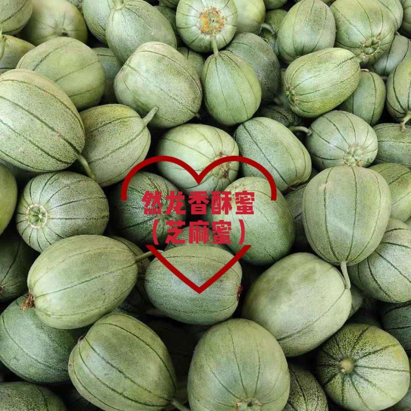 然龙香酥蜜（芝麻蜜）甜瓜种子